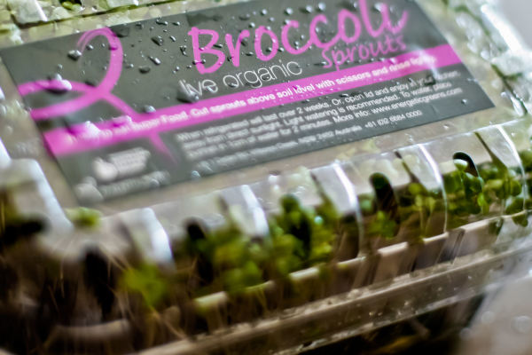 Broccoli Sprouts