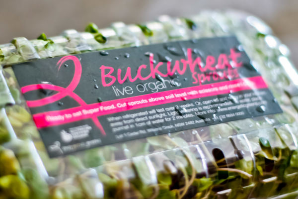 Buckwheat Sprouts