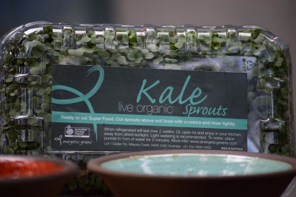 Kale Sprouts