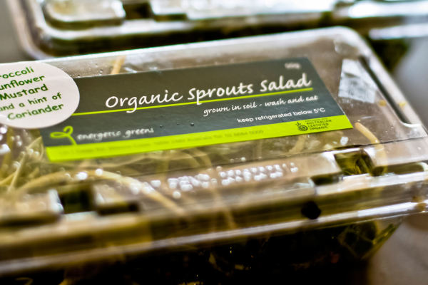 Sprouts Salad