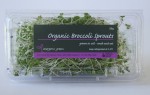 Broccoli 50g 1024