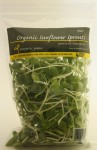 Sunflower 100g 1024