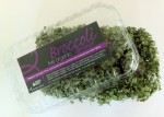 Live Broccoli Sprouts 2