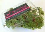 Live Buckwheat Sprouts 2
