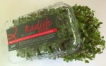 Live Radish Sprouts 2