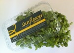 Live Sunflower Sprouts 2