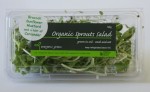 Sprouts Salad 50g 1024