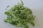 Sprouts Salad Loose 1024